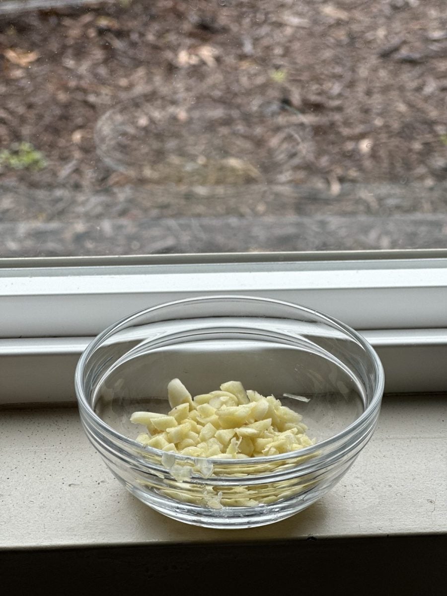 Parmesan Garlic Pasta Recipe