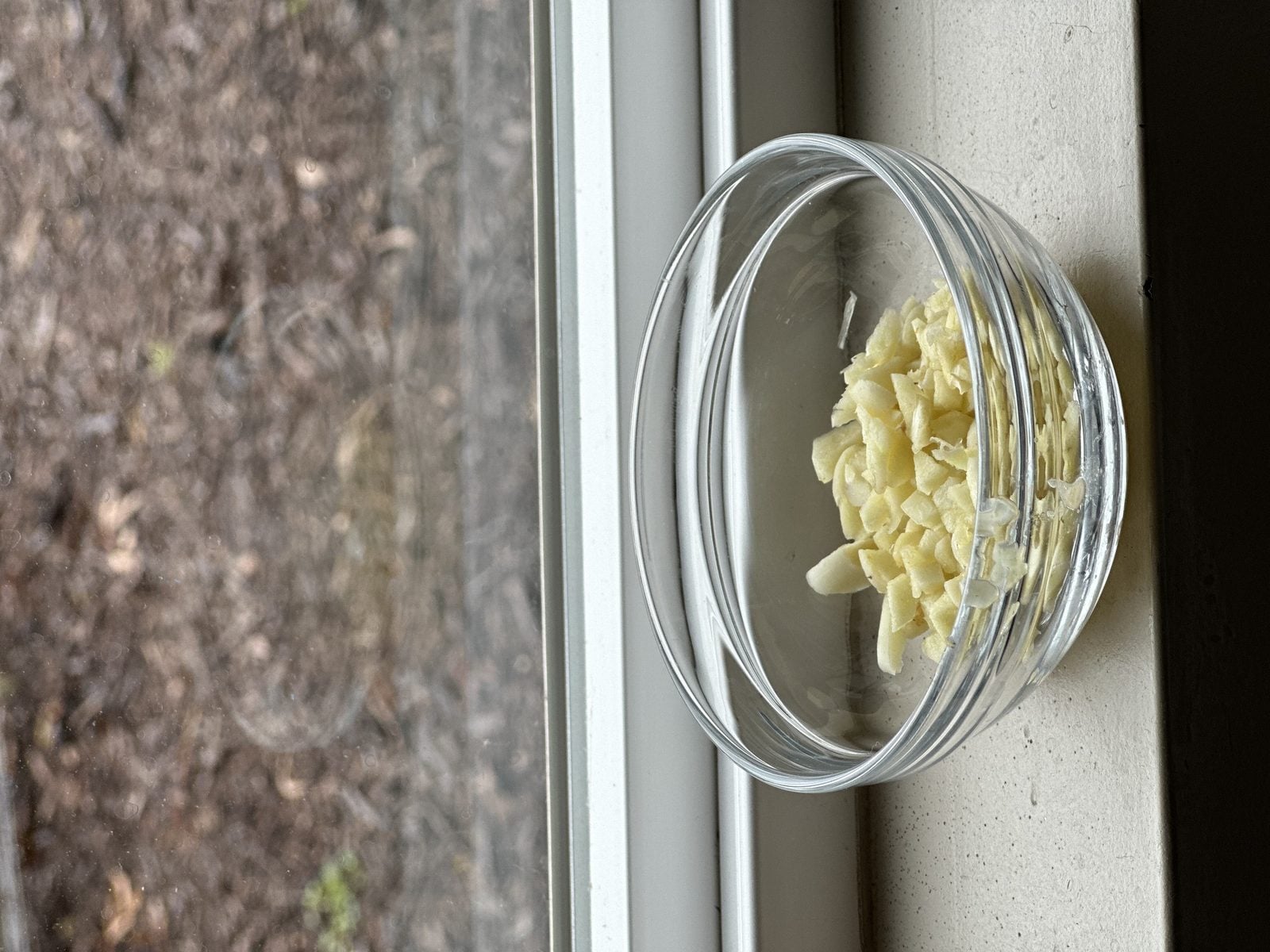 Parmesan Garlic Pasta Recipe